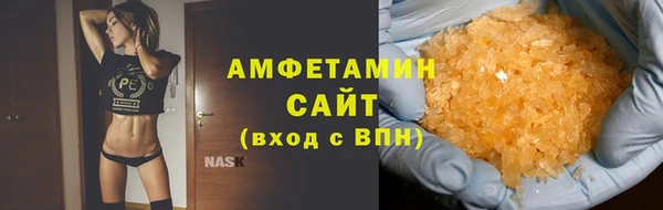 индика Дмитров