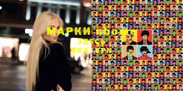 СК Новозыбков