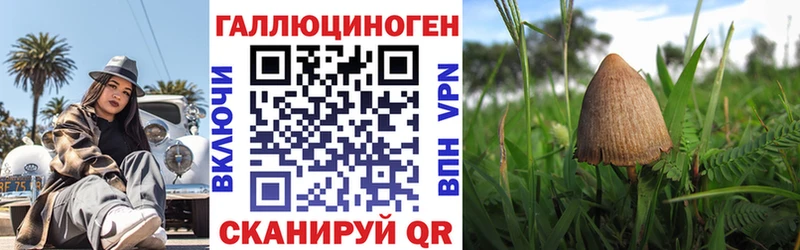 Галлюциногенные грибы GOLDEN TEACHER  где купить наркотик  Лукоянов 