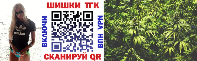продажа наркотиков  Лукоянов  Канабис тримм 
